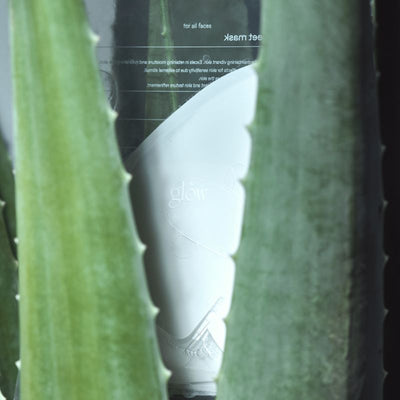 glow aloe hydrogel sheet mask 3ea