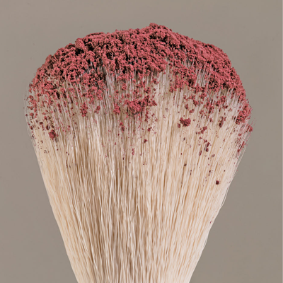 Sunnies Face The Eyeshadow Brush 01