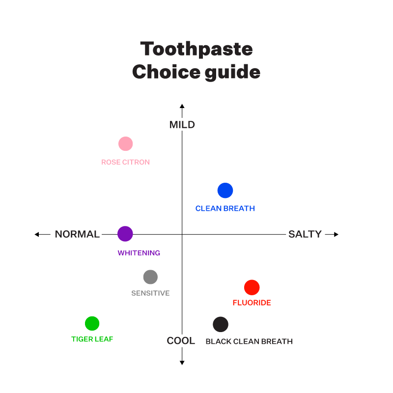 Saltrain Toothpaste Black