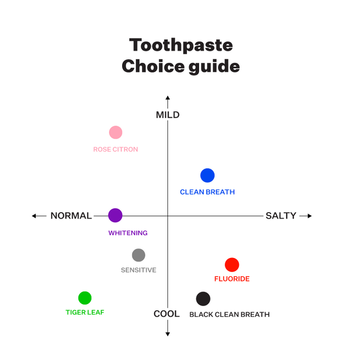 Saltrain Toothpaste Black