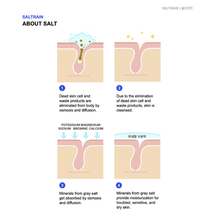 SALTRAIN INFO